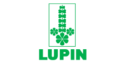 Lupin
